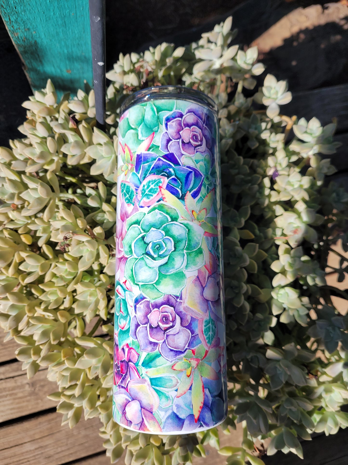 20oz Succulent tumbler